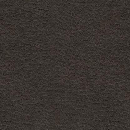 Femley - Rocker Recliner - Smoke