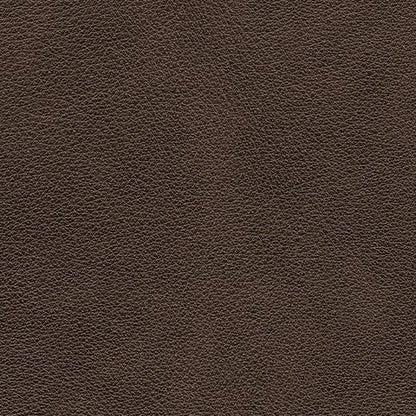 Crossplex - Power Recliner / Adjustable Headrest - Smoke