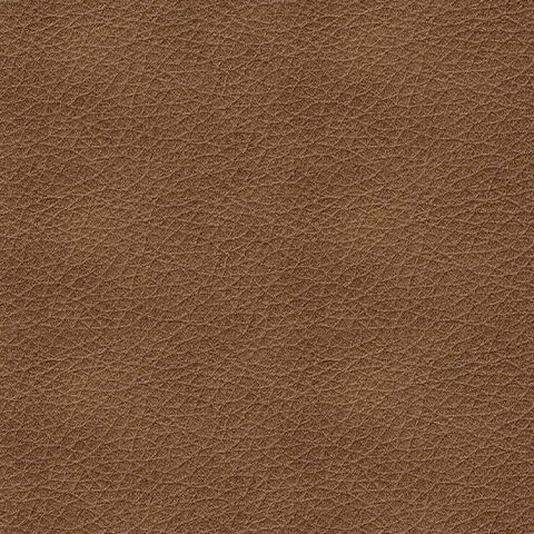 Bolsena - Queen Sofa Sleeper - Leather Match - Caramel
