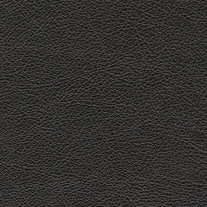 Amiata - Sofa - Leather Match - Onyx